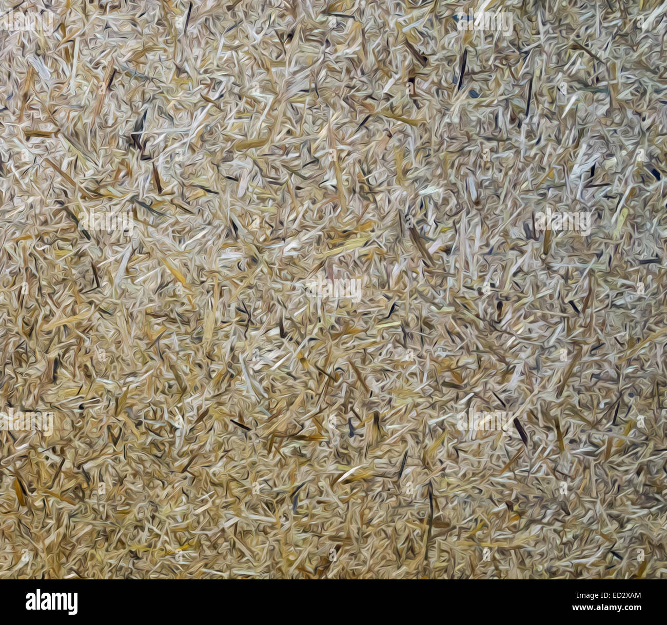 Oil paint from plywood wall of retro shop Stock Photo Alamy