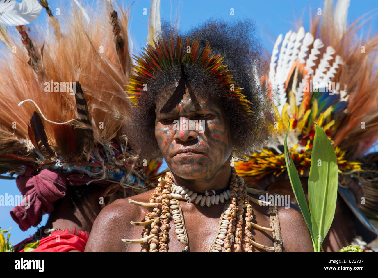Papua New Guinea, Tufi. Traditional welcome sing-sing performance. Woman dressed in native attire with full face tattoo. Stock Photo