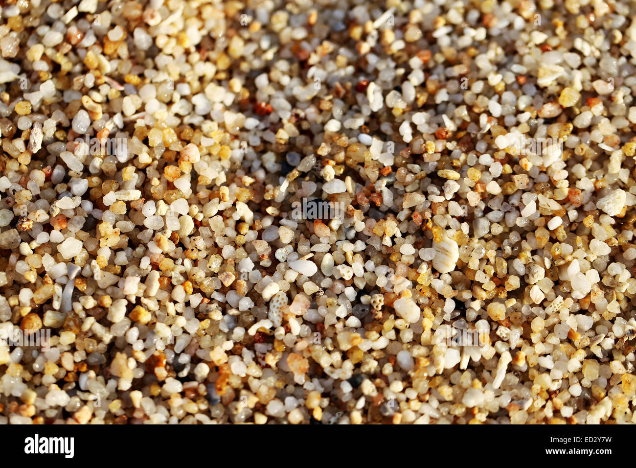 Big yellow sand on the beach is photographed close-up Stock Photo - Alamy