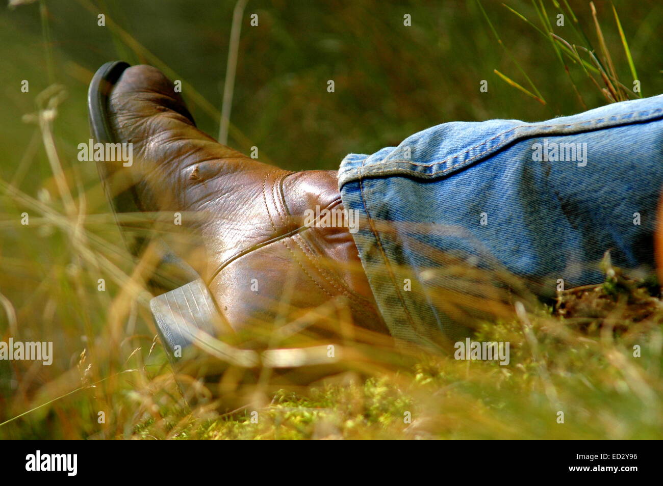 Man Relaxing In A Meadow On A Sunny Day Stock Photo