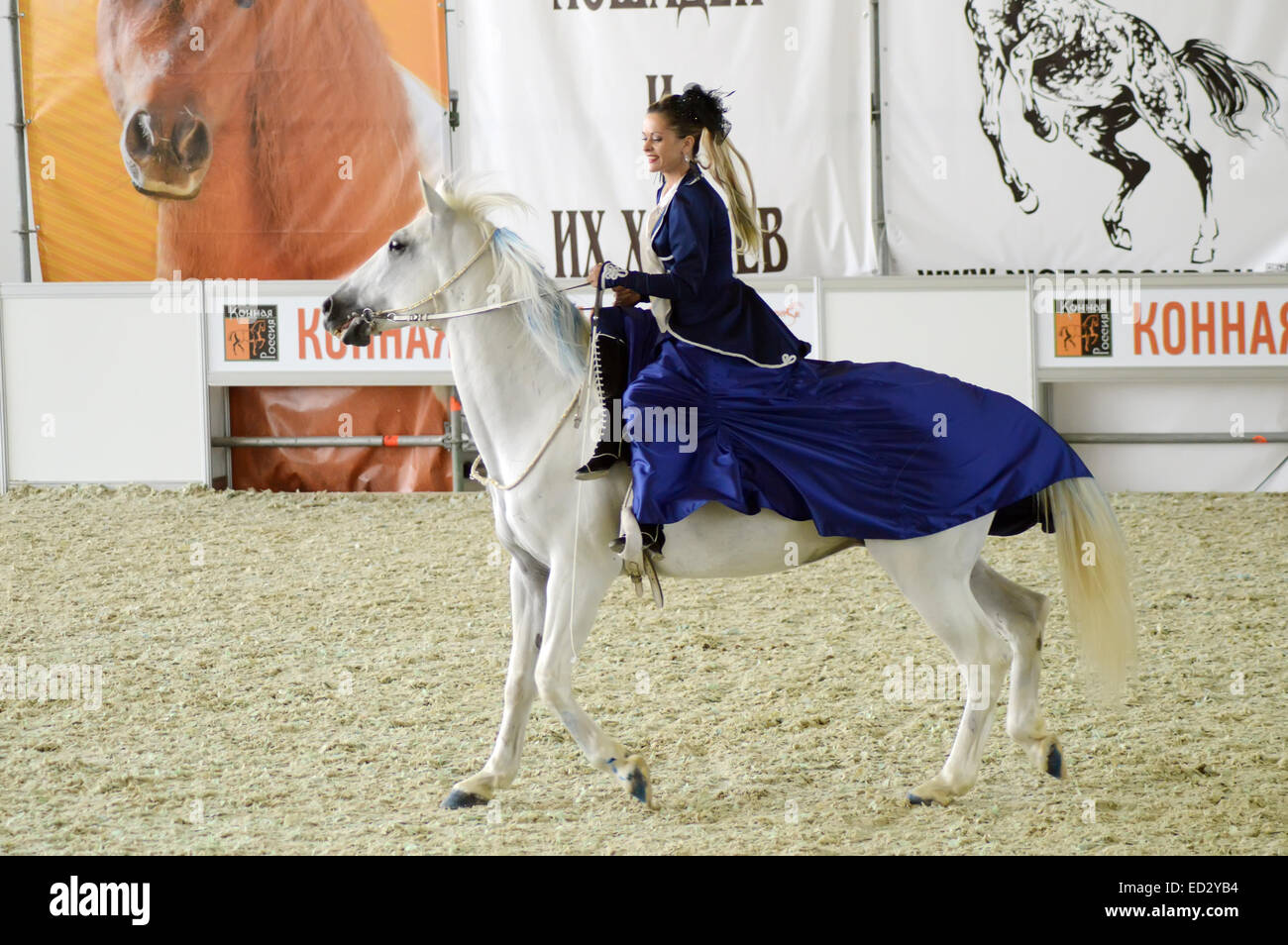 Woman jockey in a dark blue dress riding a white horse. During the show. International Equestrian Exhibition Stock Photo