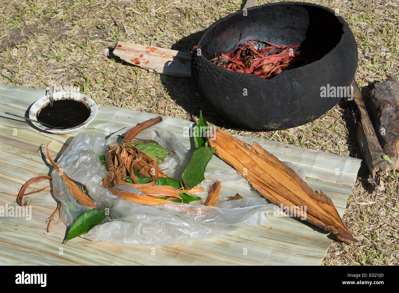 Papua New Guinea, Tufi. Ingredients used in making traditional tapa cloth, made from the paper mulberry tree. Stock Photo