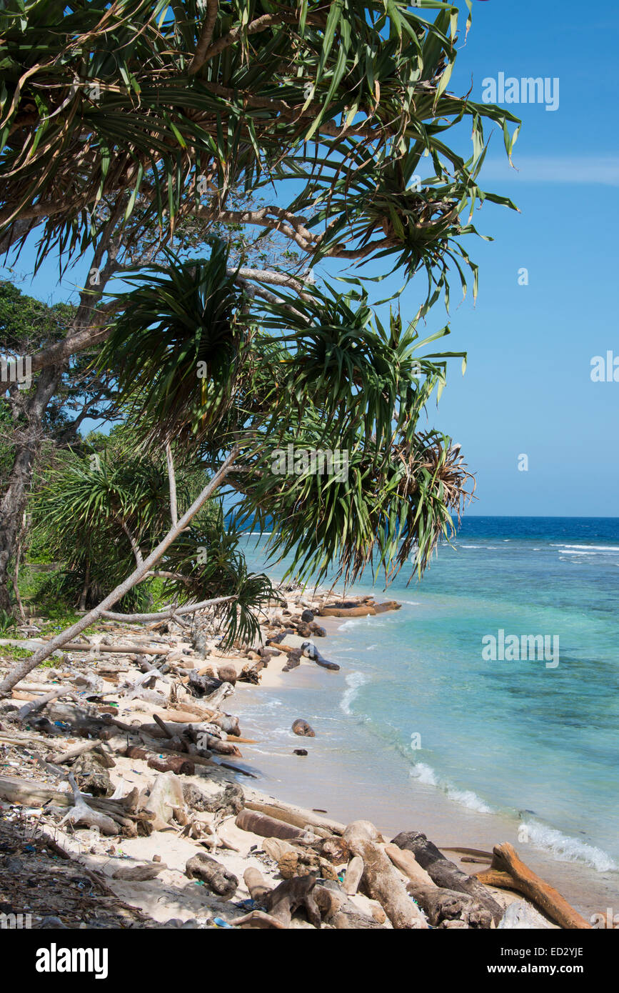 Melanesia, Papua New Guinea, Bismarck Sea, Tuam Island. Scenic view of 