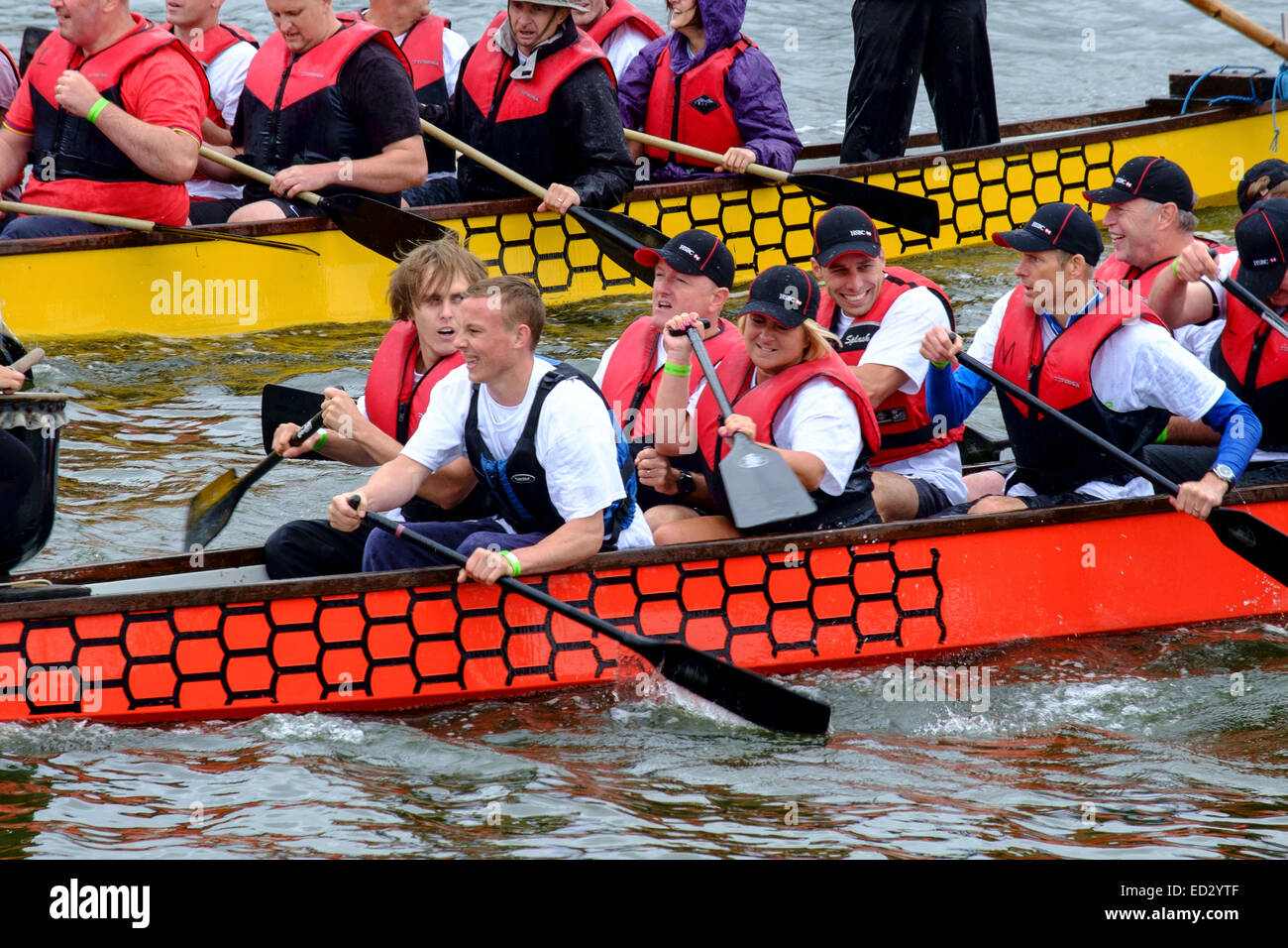 Dragon Boat Racing team rowing Stock Photo Alamy