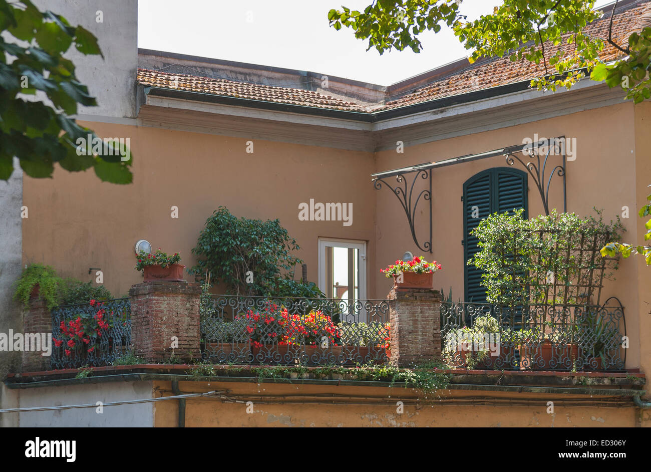 terrace surrounded by plants and flowers. Italy Stock Photo