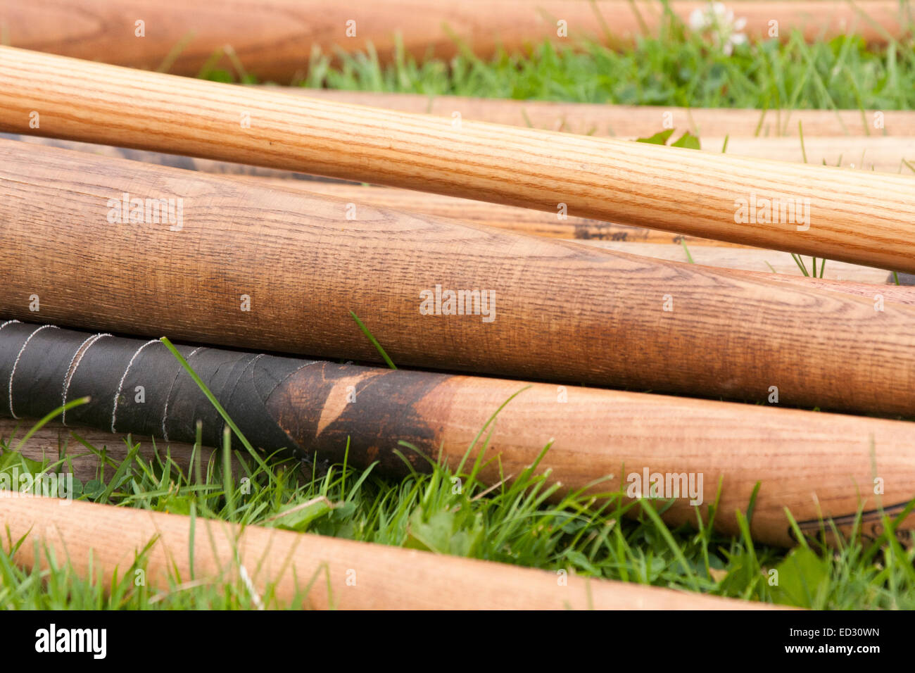 Baseball bats during a game hi-res stock photography and images - Alamy