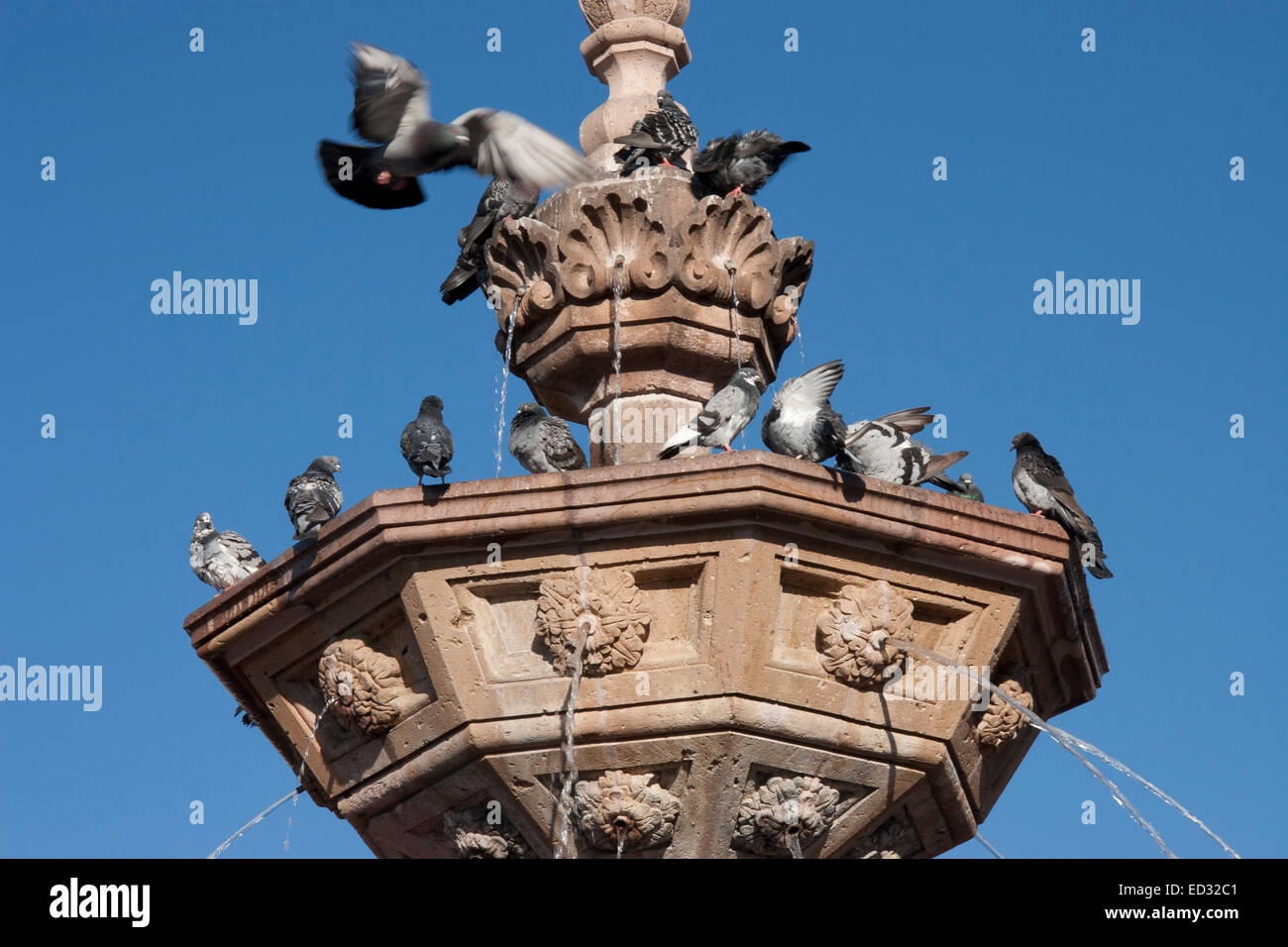 A large fountain fronts Casa de Las Artesanias, housed in the former convent of San Francisco in Morelia, Michoacan, Mexico Stock Photo