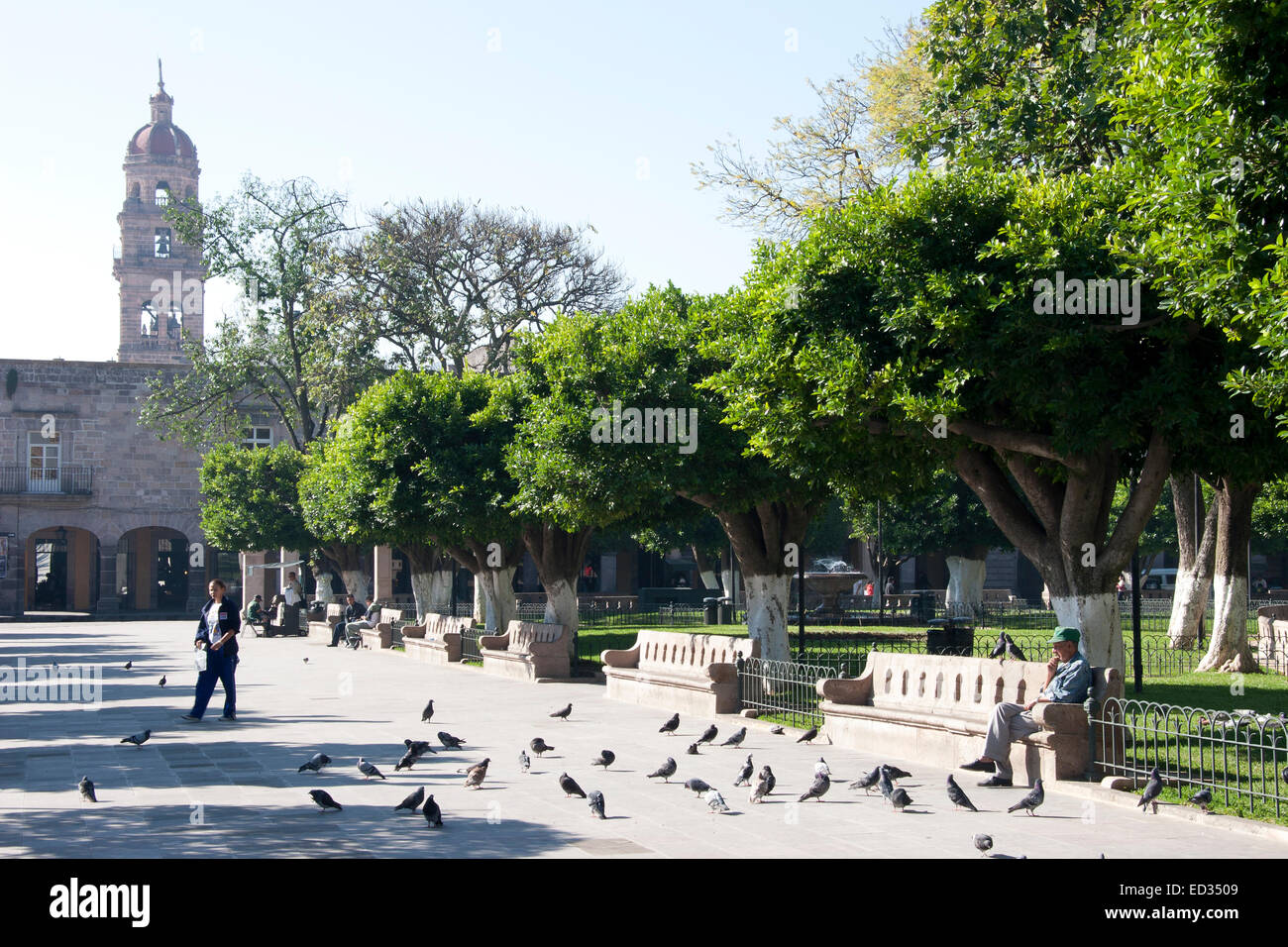 Plaza de Armas, Morelia, Michoacan, Mexico Stock Photo Alamy