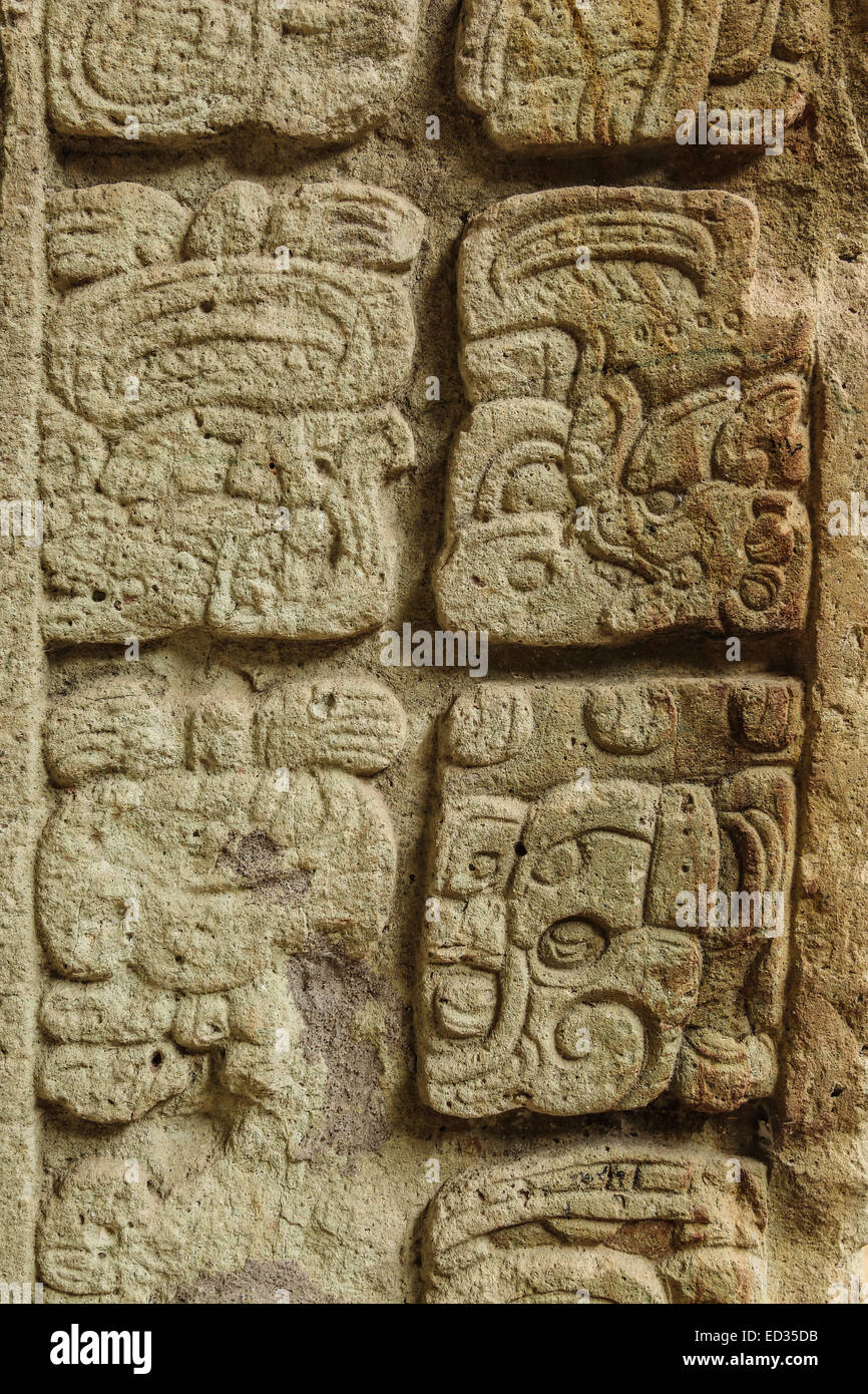 Ancient Mayan Hieroglyphs
