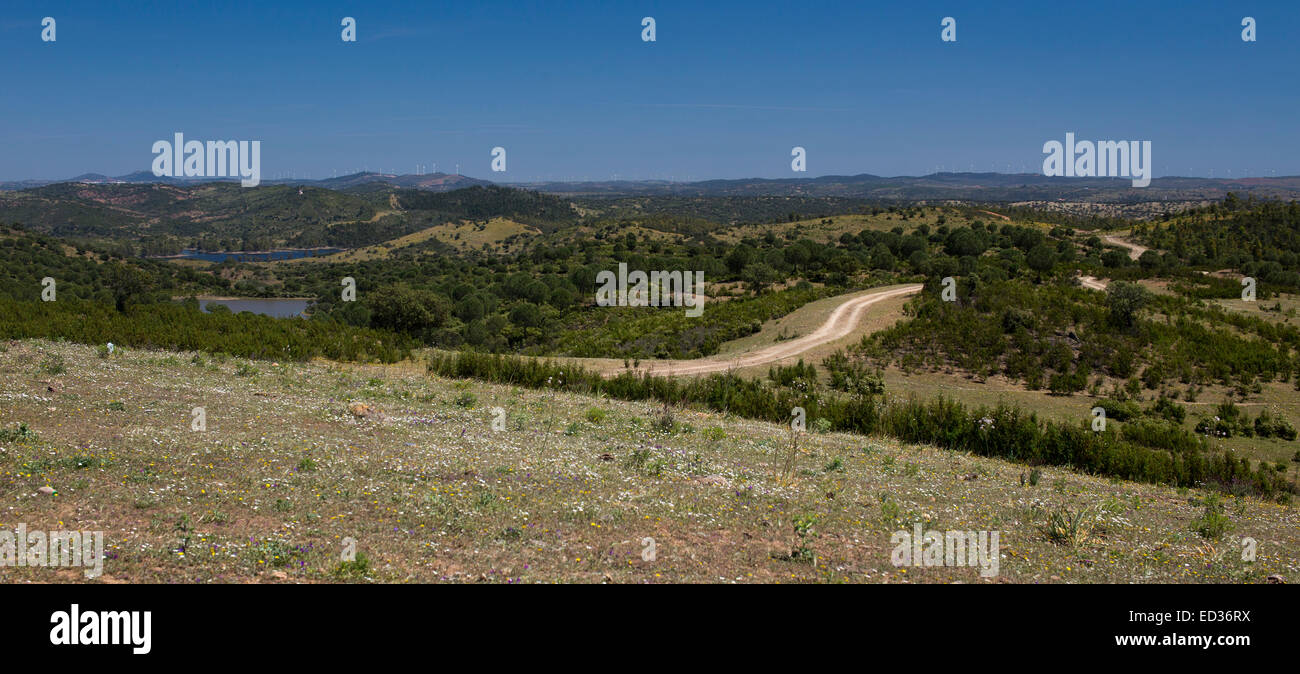 Sparsely wooded hi-res stock photography and images - Alamy