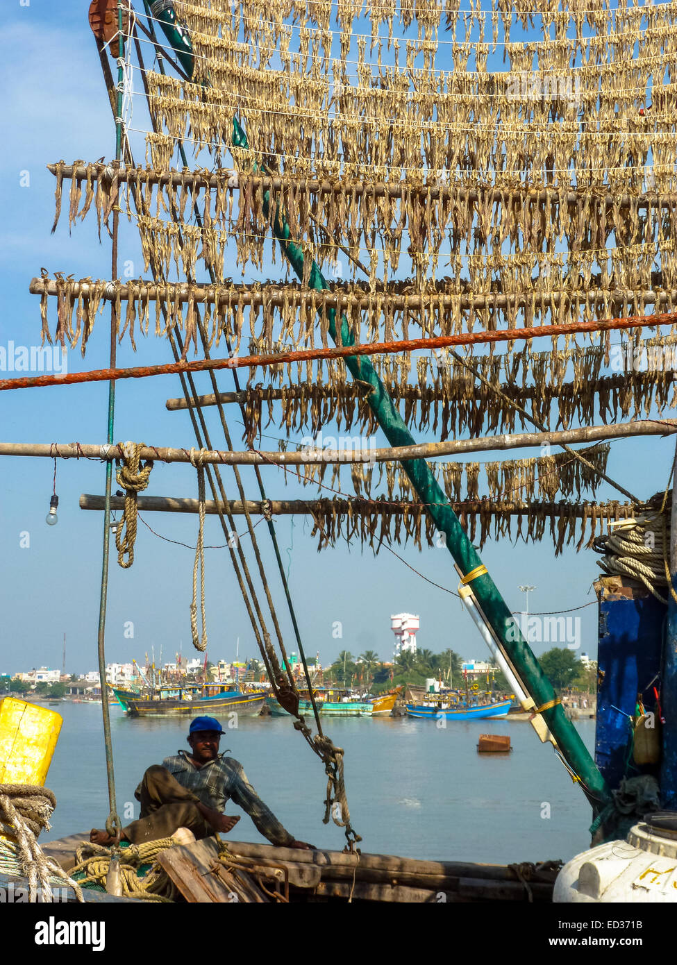 sundried fish at a boat in the harbour of diu gujarat india Stock Photo