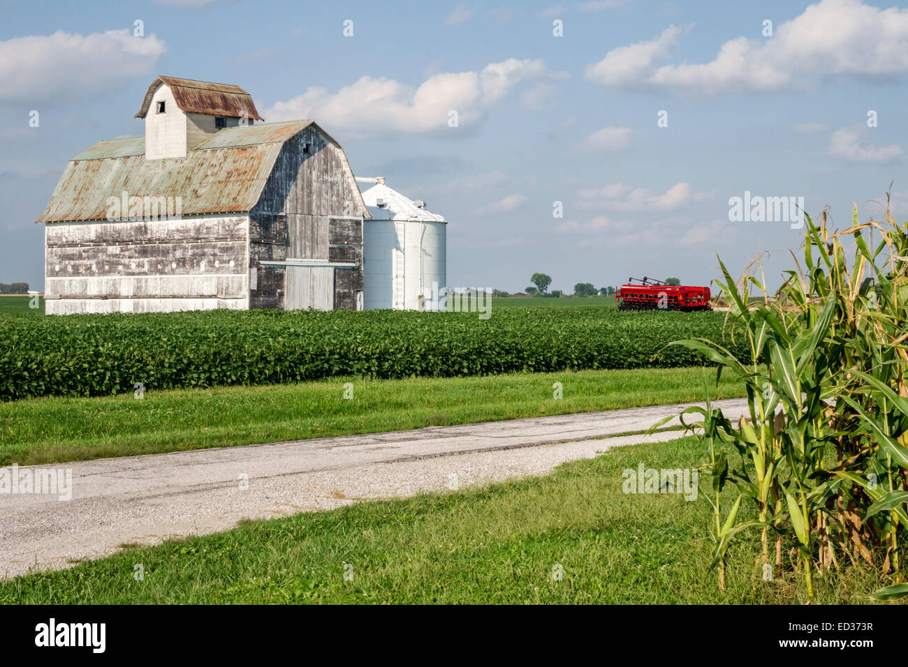 Illinois Tuscola,corn,crop,barn,rural,agricultural,farming,farm
