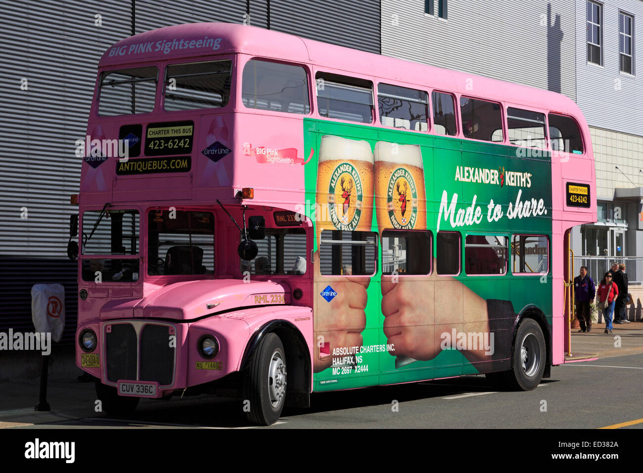 Pink Bus, Halifax, Nova Scotia, Canada Stock Photo