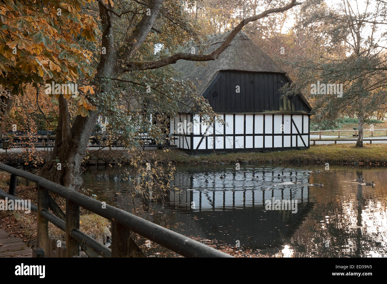 Small half-timbered house with thatched roof at a pond Stock Photo