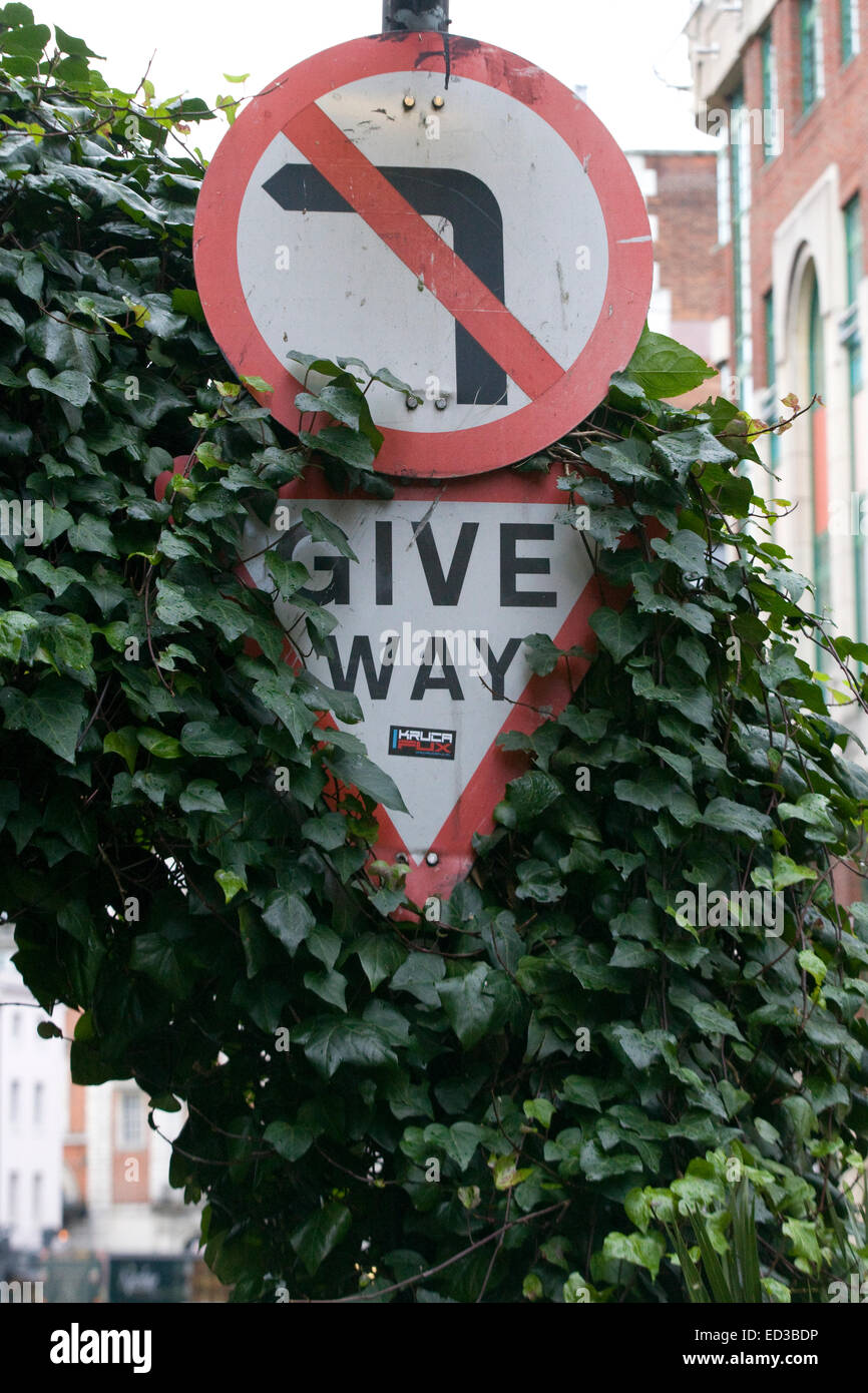 Outdoor Road sign covered in Ivy Stock Photo Alamy