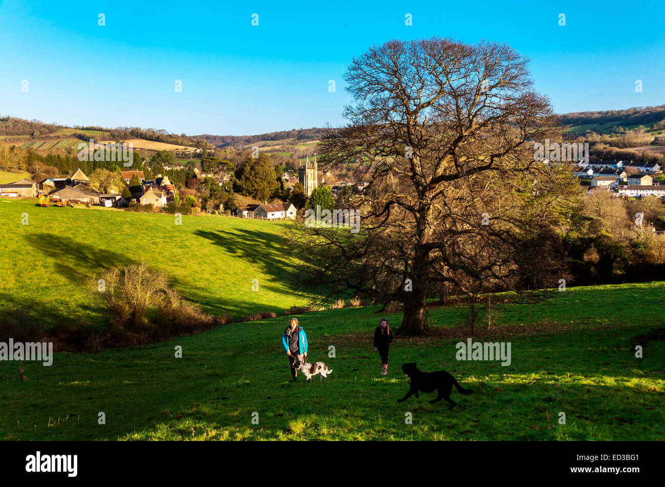 Batheaston, Somerset, UK. 25th Dec, 2014. Dog walkers in hills above
