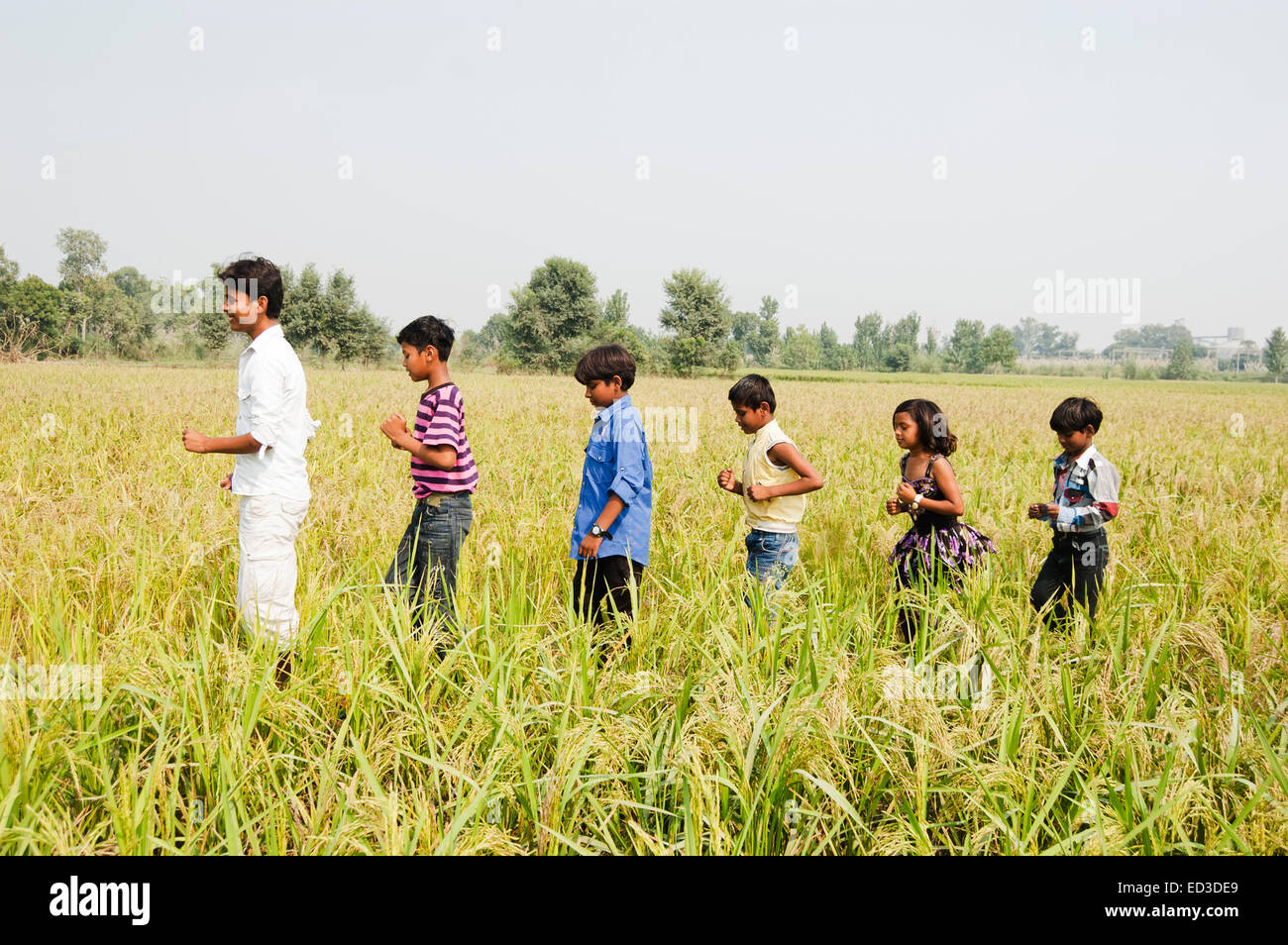 indian rural group children farm enjoy Stock Photo Alamy