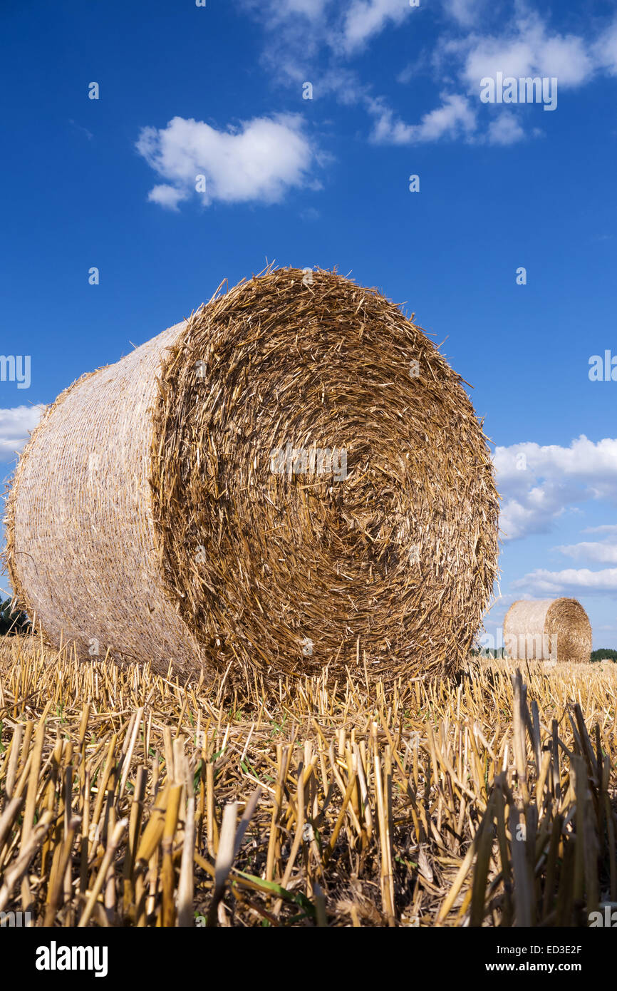 straw bales in summer with blue sky and clouds Stock Photo - Alamy