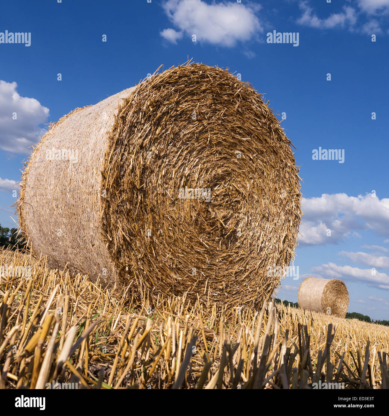 straw bales in summer with blue sky and clouds Stock Photo - Alamy
