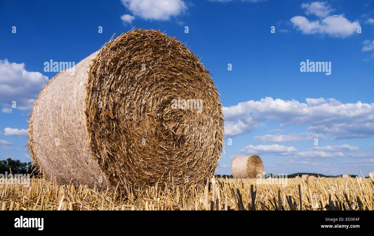 straw bales in summer with blue sky and clouds Stock Photo - Alamy