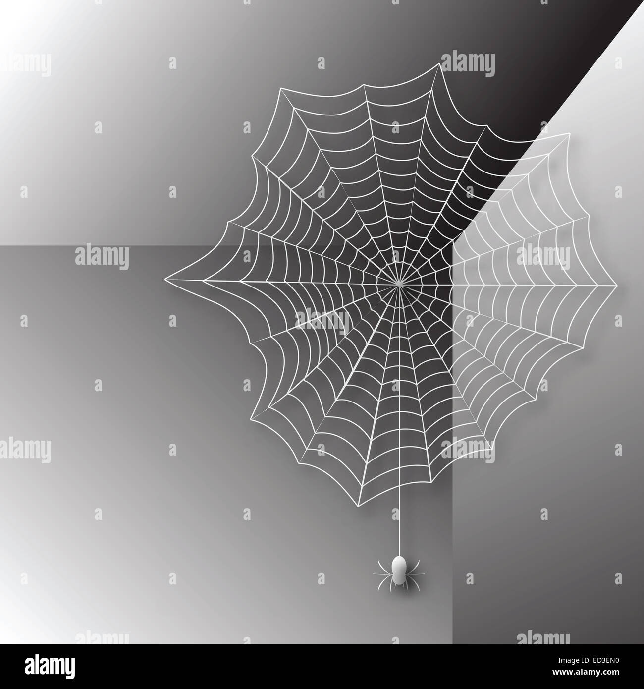 паук на паутине. паутина на стене. заросло паутиной. паутина картинка. красивая паутина в углу.