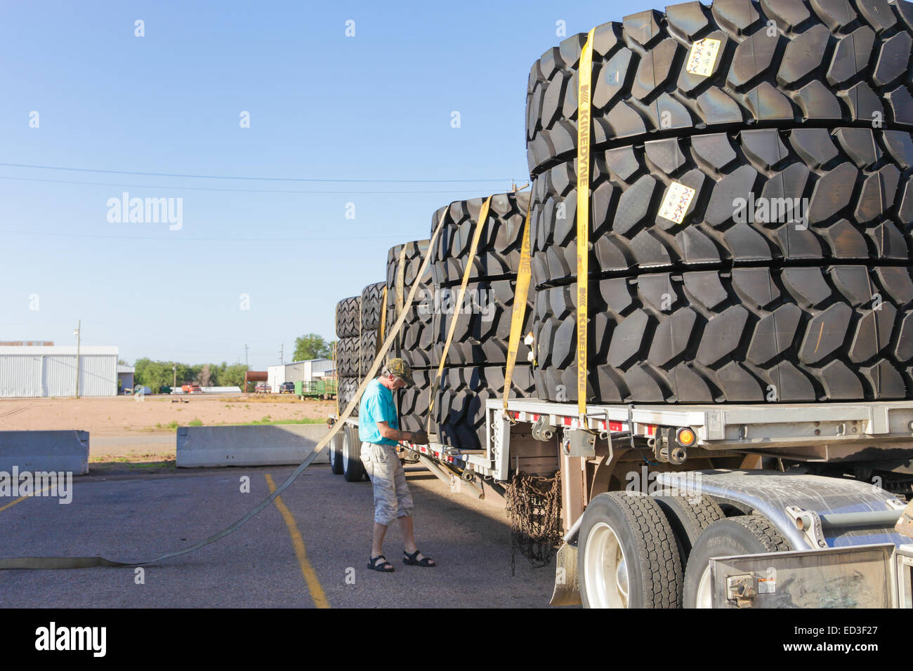 Truck load of large mining tyres on flatdeck trailer and driver throwing straps over load to secure it. Stock Photo