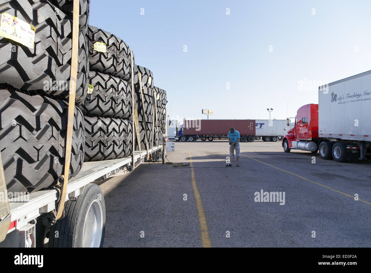 Truck load of large mining tyres on flatdeck trailer and driver throwing straps over load to secure it. Stock Photo