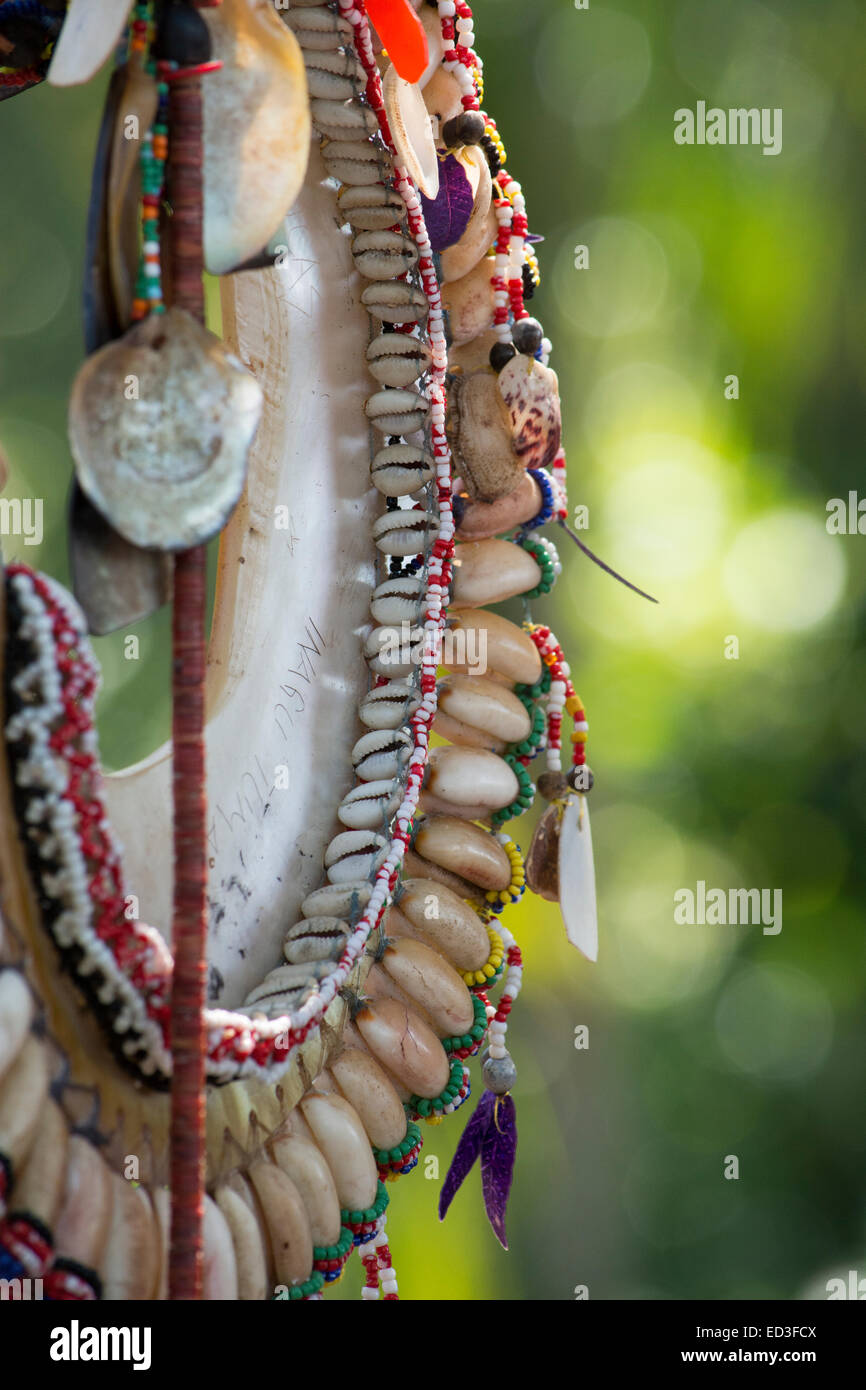 Melanesia, Papua New Guinea, Dobu Island. Vintage historic seashell and ...