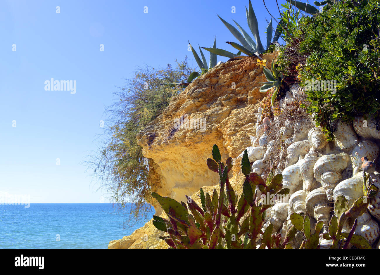 Cactus garden on Armacao De Pera Beach, Portugal Stock Photo