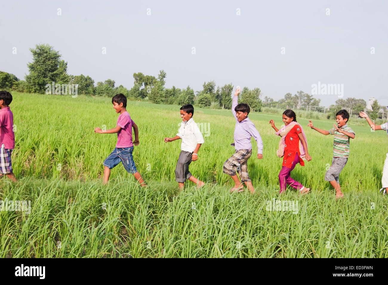 Indian Rural Children Playing Farm High Resolution Stock Photography ...