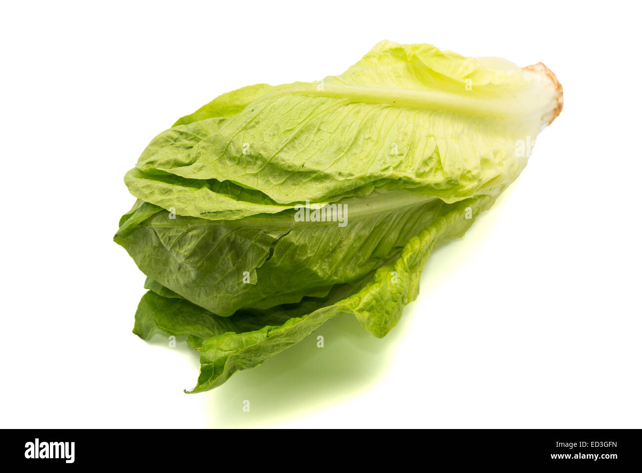 green lettuce on a white background Stock Photo