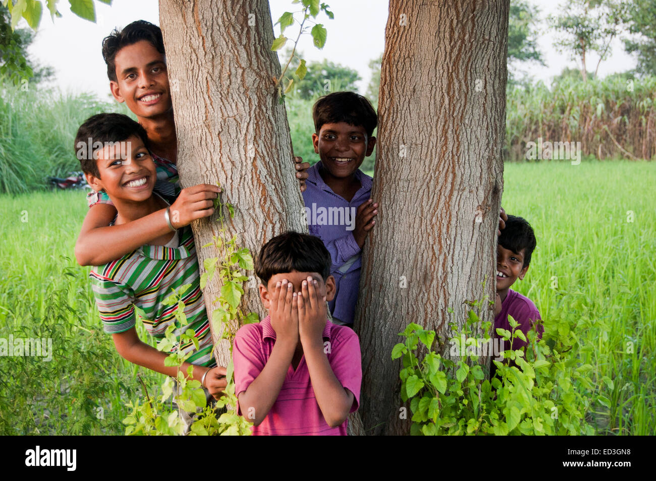 children playing hide and seek