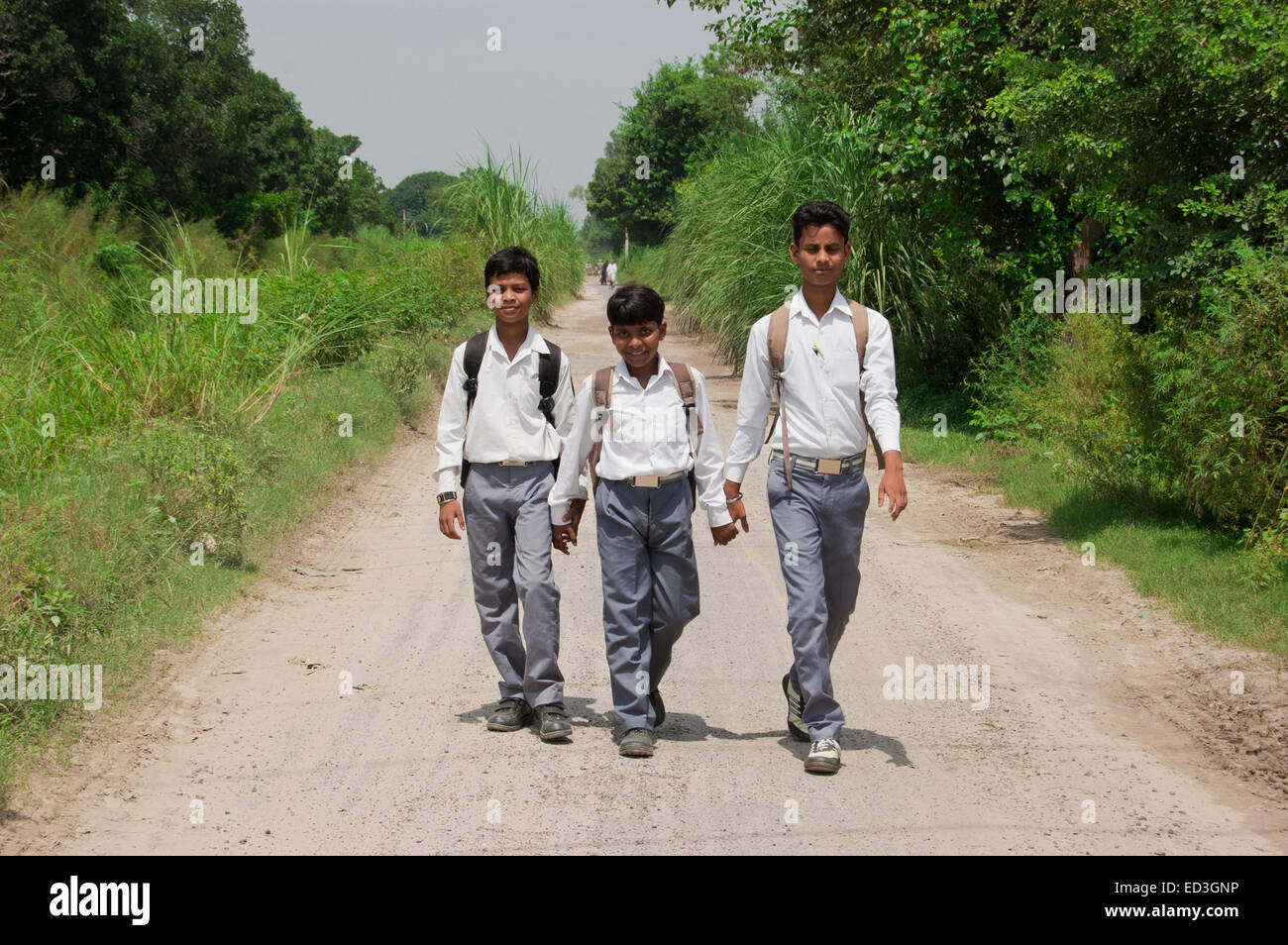 3 indian rural children School Students walking road Stock Photo Alamy