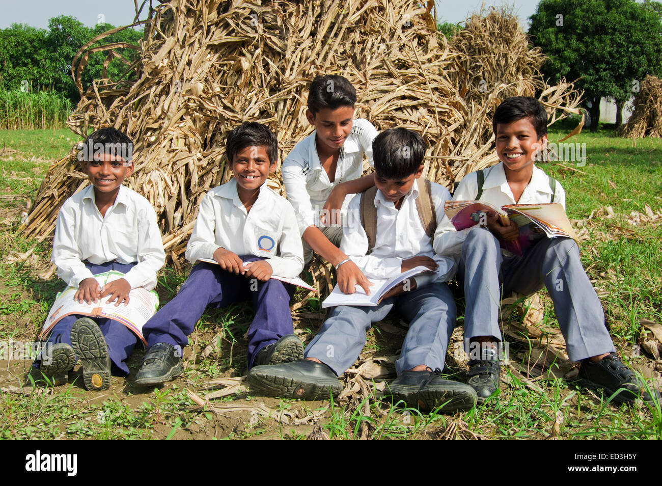indian rural children school Students farm Study Stock Photo Alamy