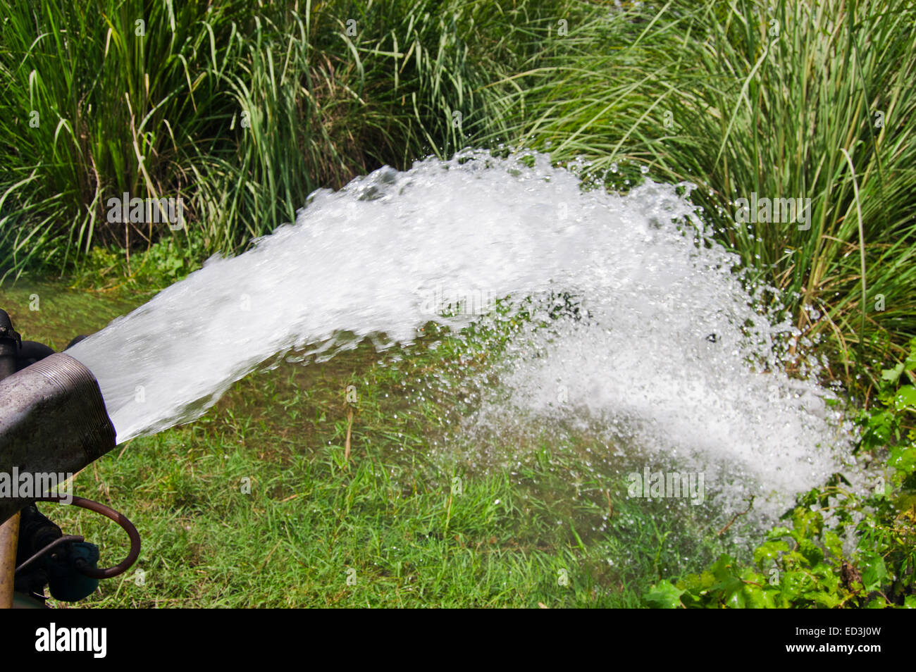 Rural village farm tubewell hi-res stock photography and images ...