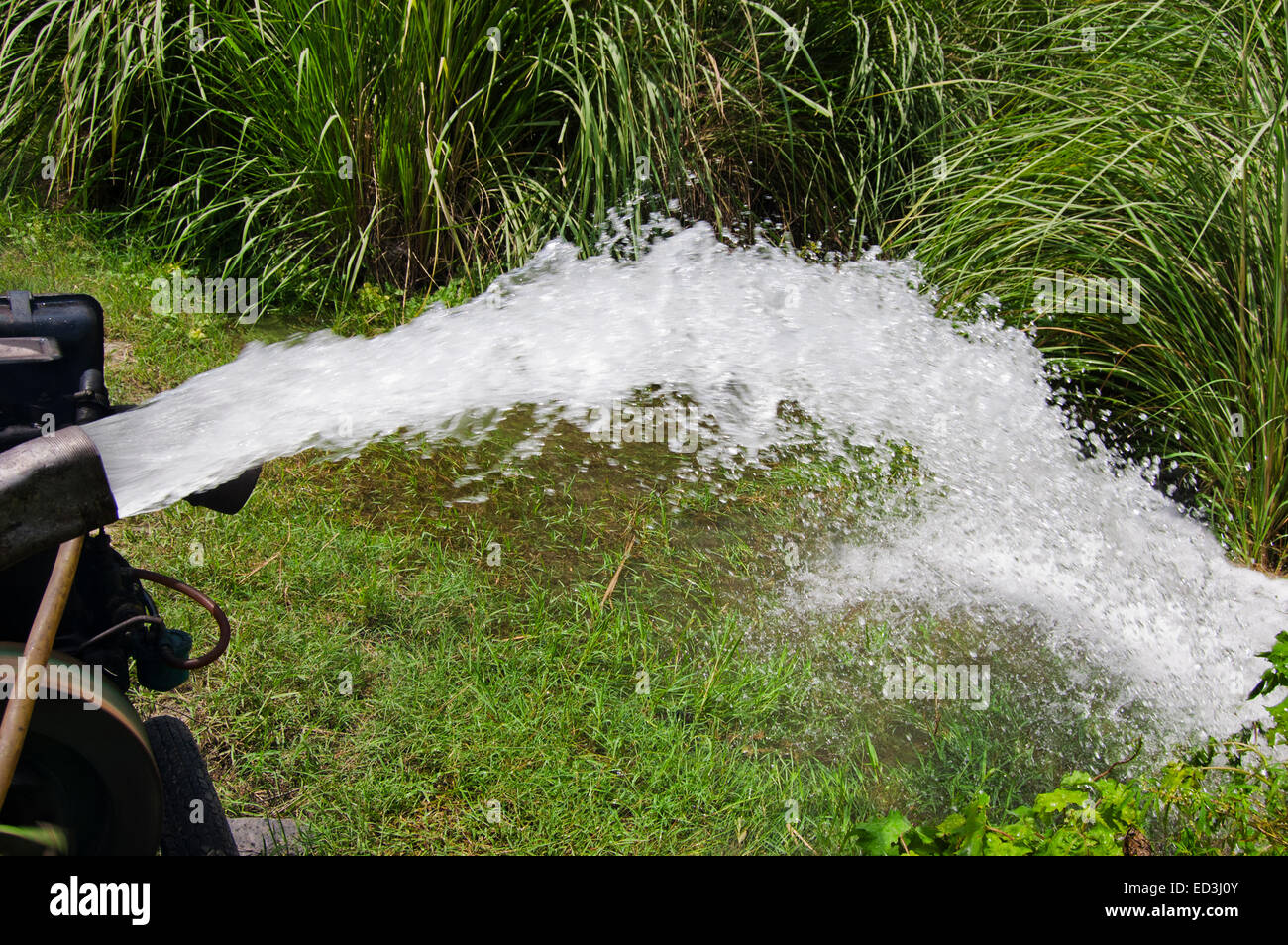 Rural village farm tubewell hi-res stock photography and images ...