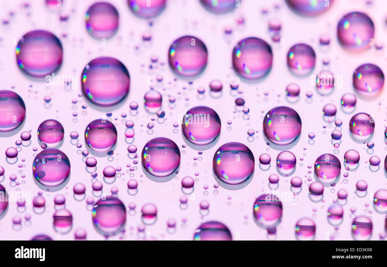 water drops on a purple background Stock Photo