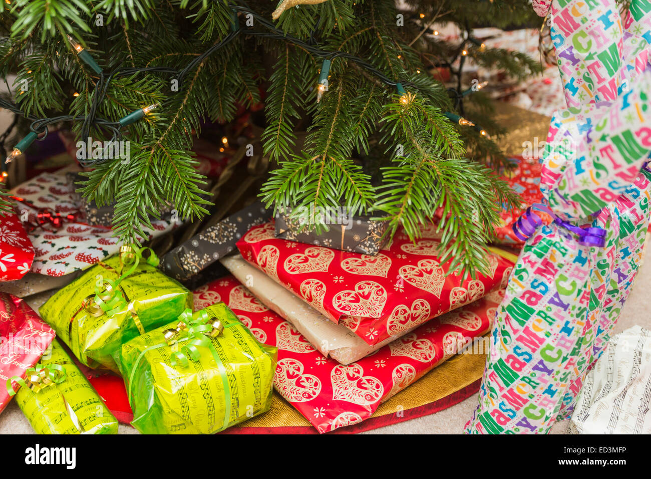 Colourful Xmas presents under a traditional real Christmas tree Stock