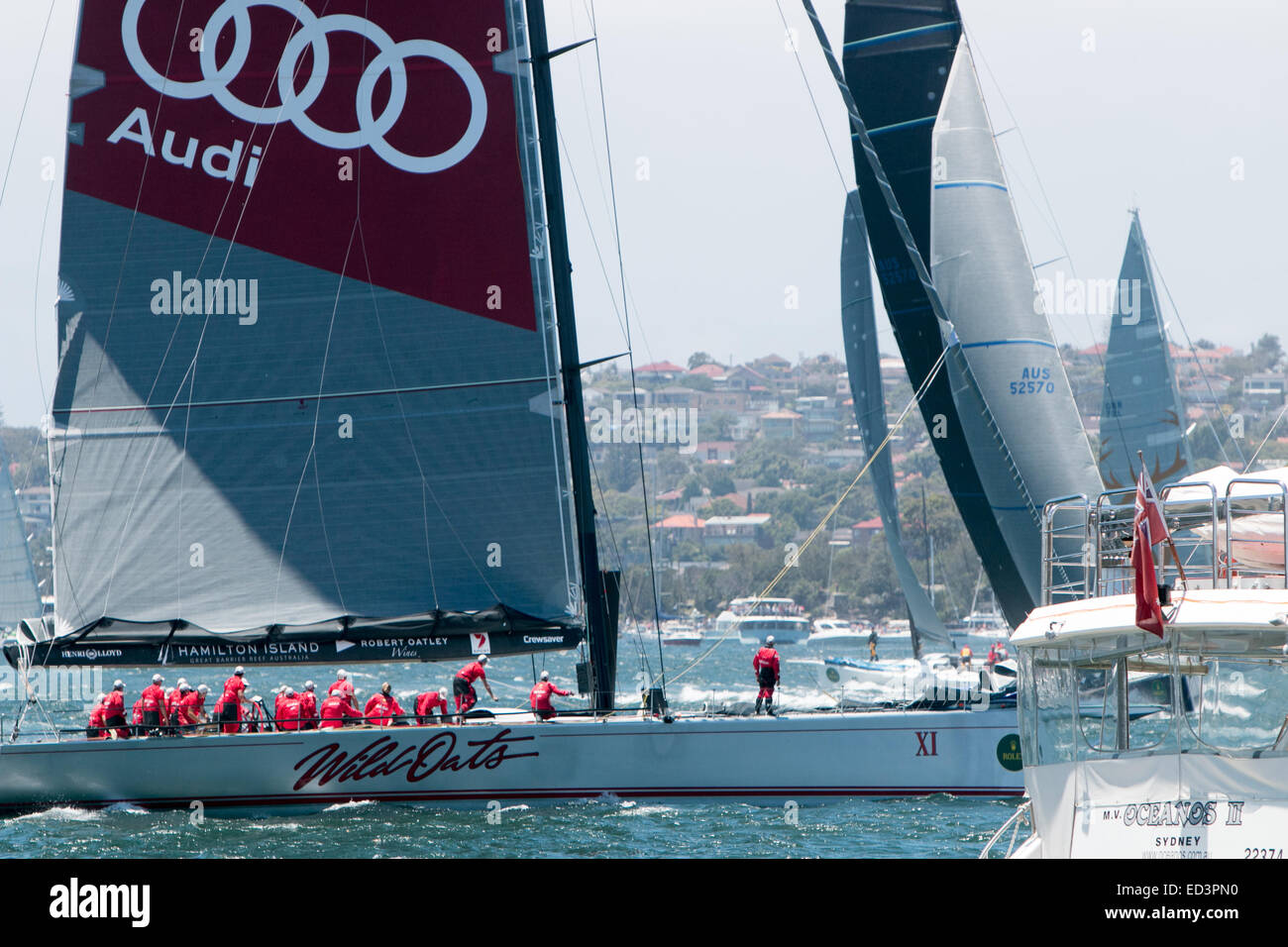 Sydney, Australia. 26th December, 2014.  Start of 70th Sydney to Hobart Yacht Race in Sydney Harbour, Australia. One of the favouries Wild Oats X1 Credit:  martin berry/Alamy Live News Stock Photo
