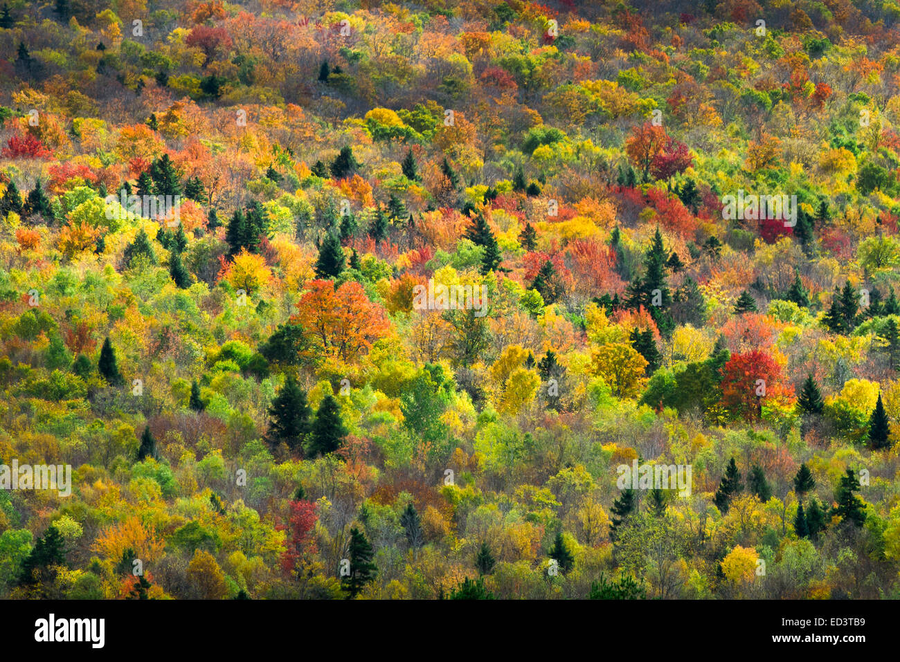 Autumn colors in New Hampshire Stock Photo