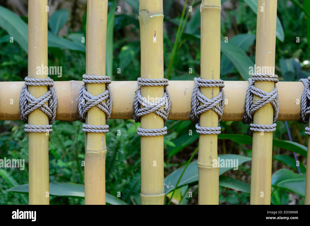 beautiful Thai stye bamboo fence connect by rope Stock Photo