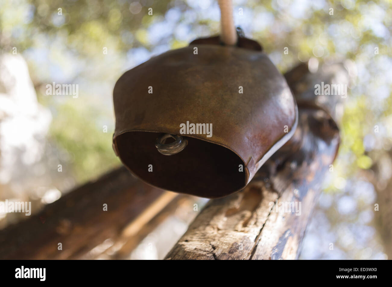 Cowbell used by Sardinian shepherds. Here is hung at the entrance of the archaeological site of Tiscali Stock Photo