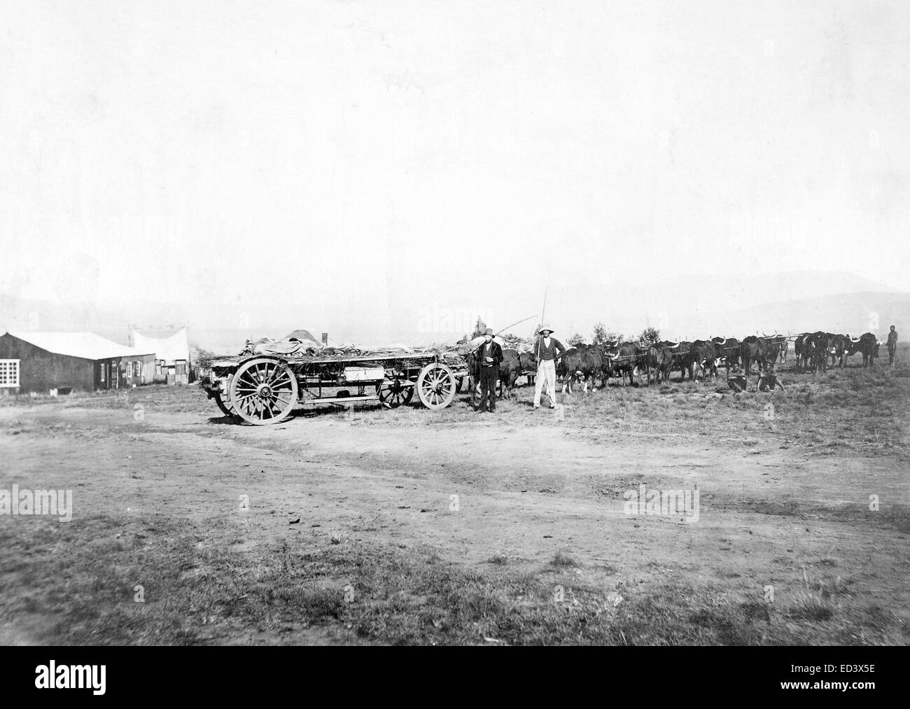 Boer Ox Cart photographed during the 1870s Zulu War Stock Photo