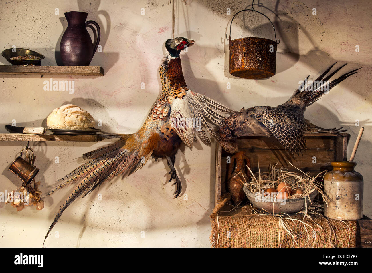 Still Life with Pheasants Stock Photo