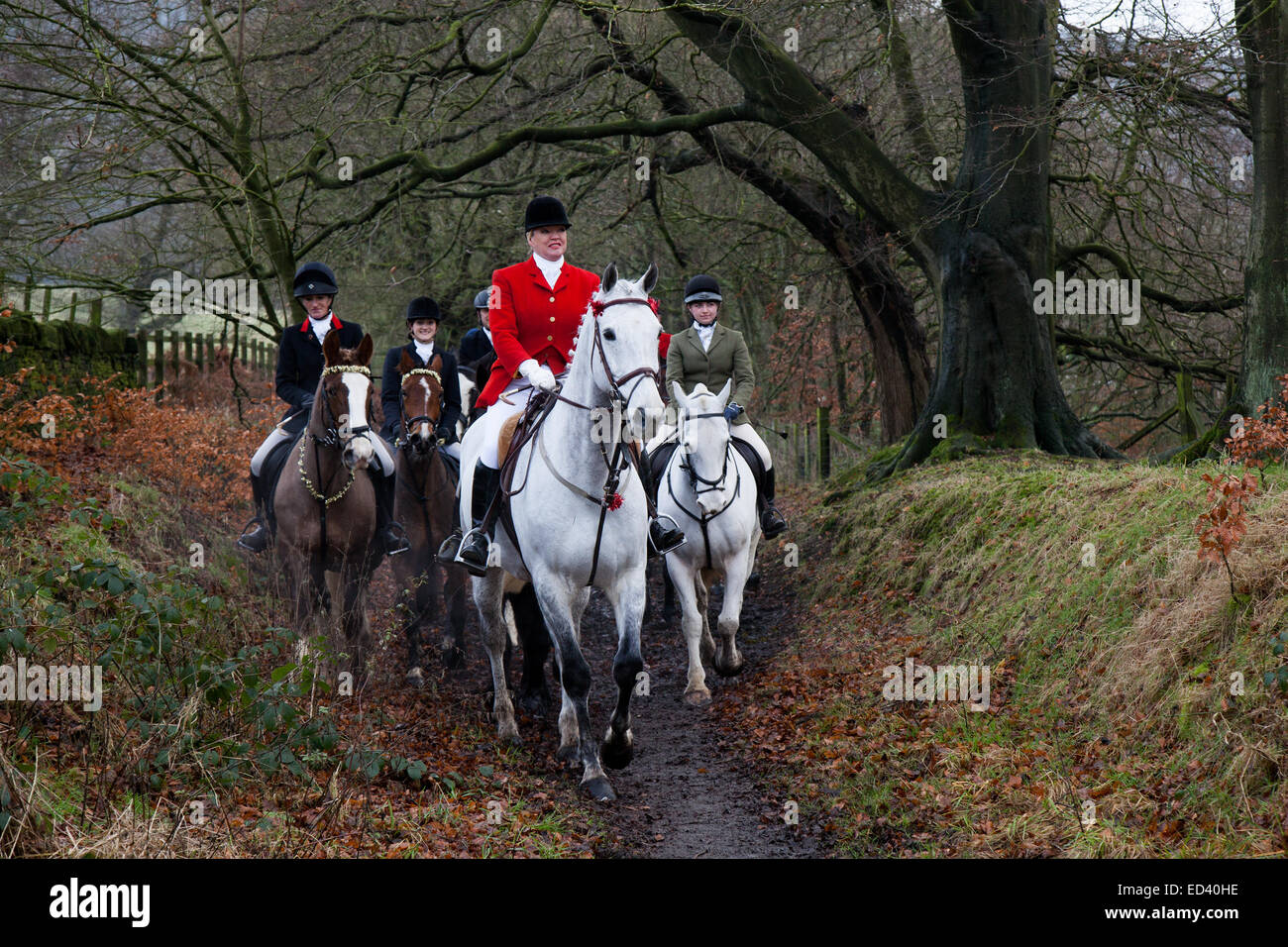 Huntsman horse horses ride hires stock photography and images Alamy