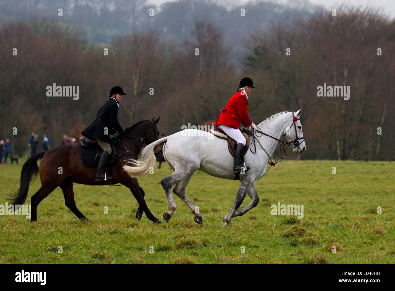 Rivington, Horwich near Bolton, Lancashire. UK.  26th December, 2014: Susan Simmons from Preston who is the Senior Lady Master of the Holcombe  Hunt, on her horse Taffy, at Rivington where Horses and riders gather for the annual traditional Boxing Day Hunt. Hunting with dogs was outlawed eight years ago, but many legal ‘hunts’ still continue. Horses and riders follow scented trails on a display of pomp and ceremony after Christmas.   There was the usual parade around the fields in front of Rivington Barn before laying the trails and heading off to the moors.  Credit:  Cernan Elias / Alamy Live Stock Photo
