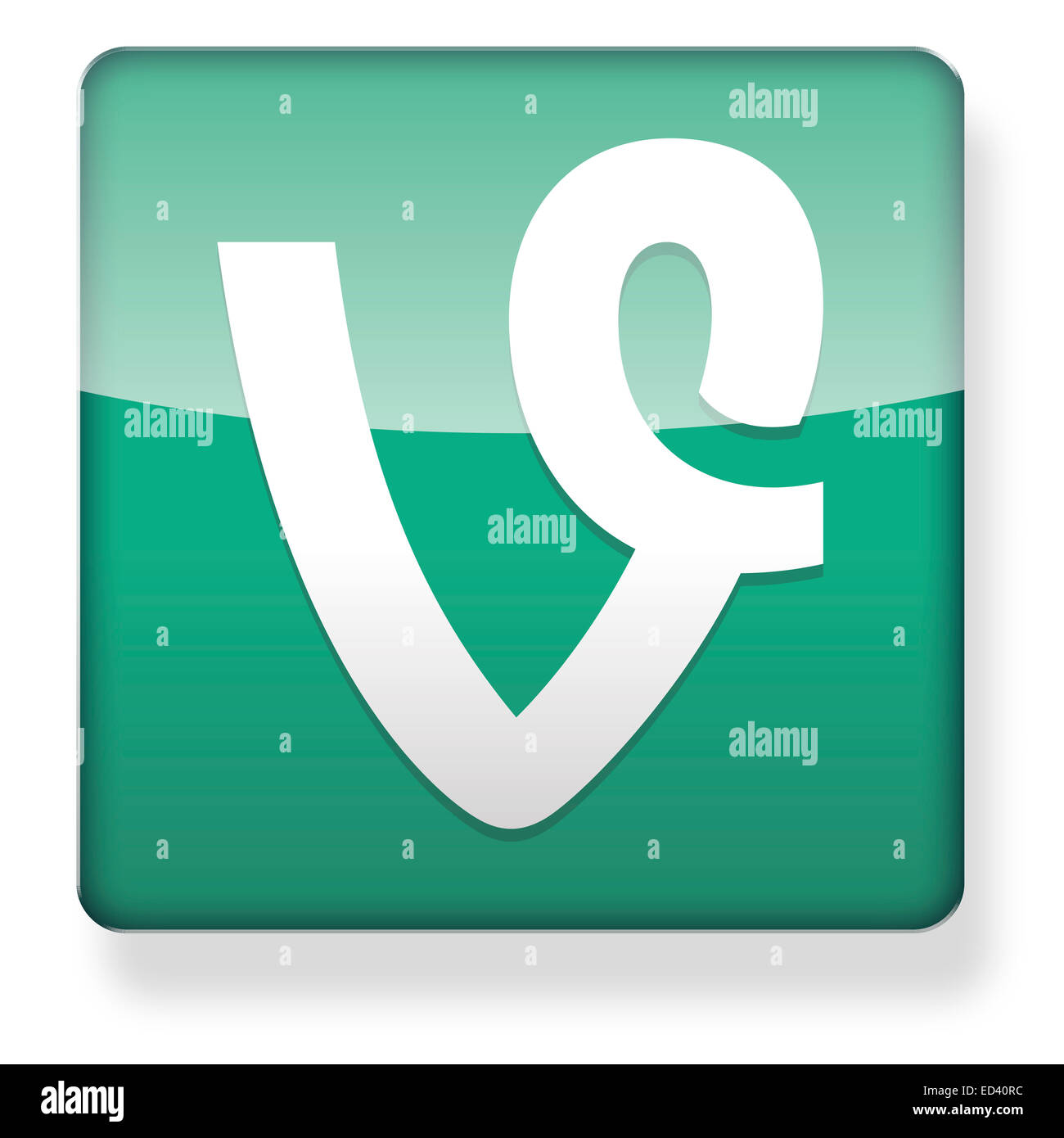 Vine logo as an app icon. Clipping path included Stock Photo - Alamy