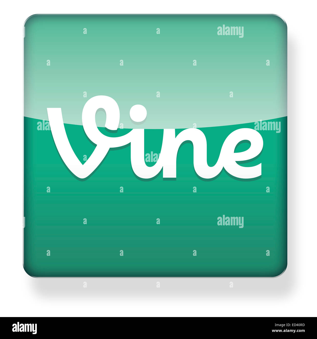Vine logo as an app icon. Clipping path included Stock Photo Alamy