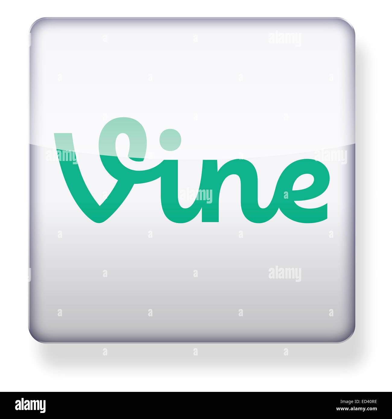 Vine logo as an app icon. Clipping path included Stock Photo Alamy