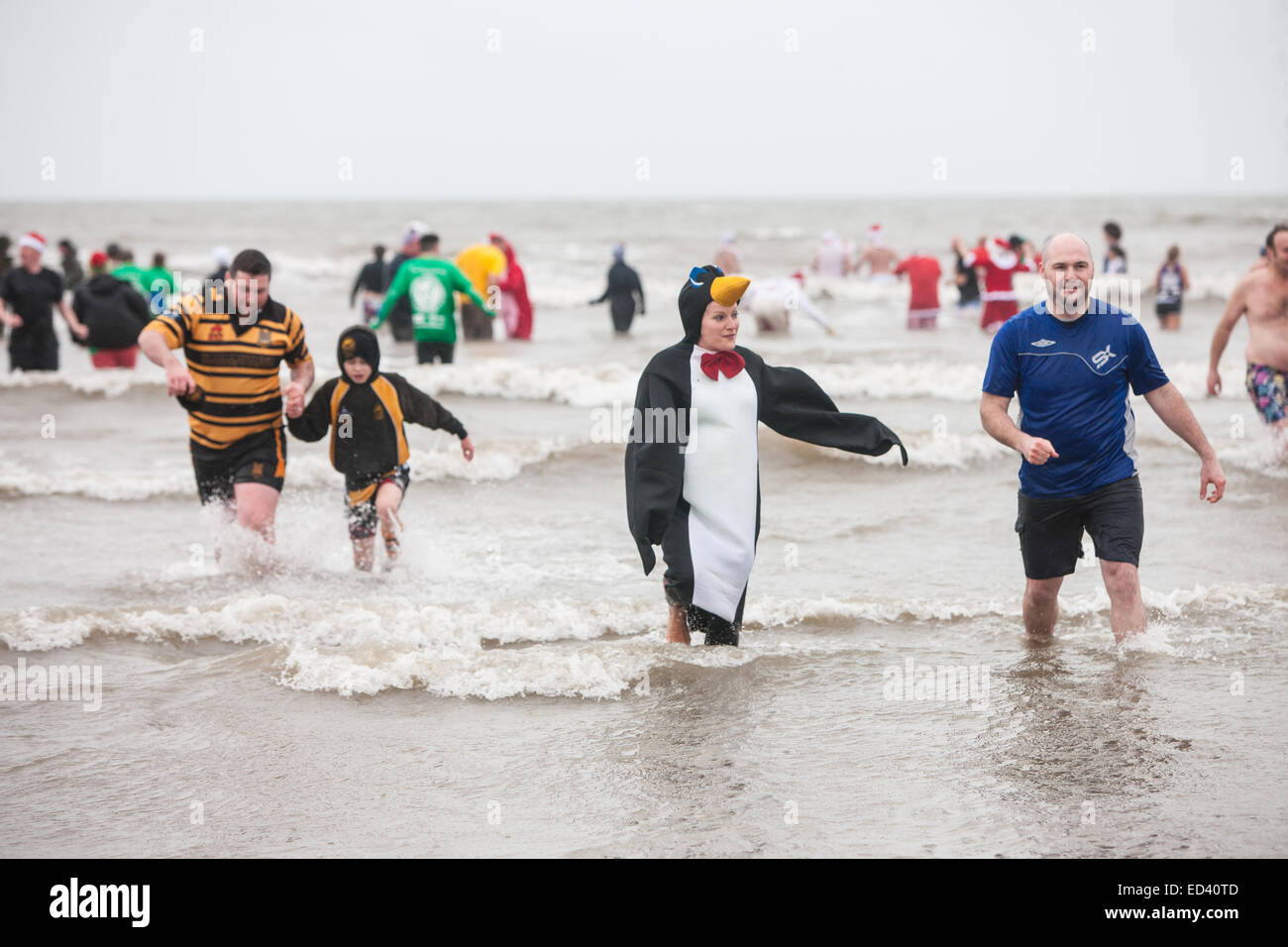 Carmarthenshire, Wales, UK. 26th Dec, 2014. At Pembrey Sands,Cefn Sidan, on a very cold,windy and with heavy rain for the 30th anniversary of the Walrus Dip. Brave swimmers endure the elements dressed in various fancy dress costumes for a brief dip in the freezing waters.Carmarthenshire,Wales,UK. Credit:  Paul Quayle/Alamy Live News Stock Photo